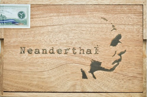 RoMa Craft Neanderthal HN
