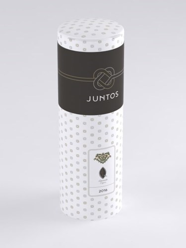 Viaje Juntos