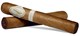 Davidoff Signature Toro