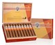 AVO Syncro Fogata Robusto
