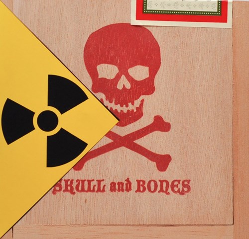 Viaje Skull and Bones WMD