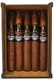 Buy Daughters of the Wind Pyramide Small Batch Cigar Exclusive By Bespoke Cigars Online