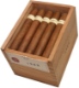 Buy Serie Gran Reserva 1988 by Warped Cigars Online: this 5 1/4 x 50 Nicaraguan puro is produced at the TABSA factory in Nicaragua!