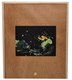 Buy Moon Garden by Warped Cigars Online: Warped Moon Garden features medio tiempo in the filler under a Nicaraguan Corojo 99 wrapper and binder.