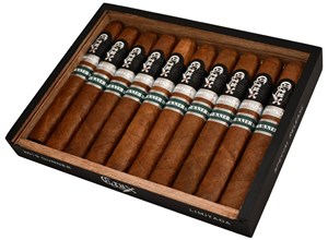 Blind Crux Limitada Gunner Review 