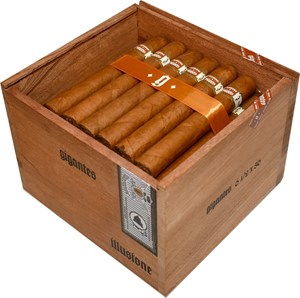 Buy Illusione Gigantes CT Online: featuring a Connecticut Shade wrapper over Nicaraguan binder and filler. A fantastic cigar that won't break the bank!