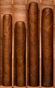 Buy Chogui Brand Sampler Online: a Chogui cigar sampler featuring one of each Chogui plus a Chogui Primerano!