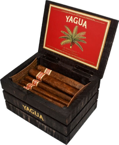 Buy Yagua by J.C. Newman Cigar Company Online: Ditching the cigar molds, this cigar is freshly rolled and then bundled together with rope made from the royal palm leaf.  This creates a unique shape that makes each cigar a slightly different shape.