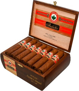 Buy Joya de Nicaragua Antaño 1970 Gran Consul Online: Joya de Nicaragua Antaño “The True Nicaraguan Puro” Full bodied and it's been around for a while.