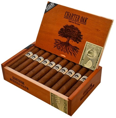 Foundation Charter Oak Habano Best Budget Cigar