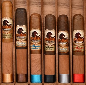 Buy Stallone Cigars Brand Sampler Online: A sample from each line produced by Stallone Cigars.