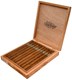 Buy Warped Sky Flower Lancero Cigar