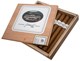 Buy Blender Series Indiana Ortez by Small Batch Cigar:
