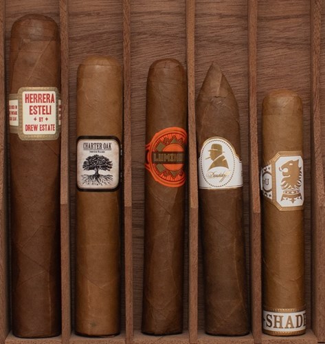 top 10 cigars for beginners
