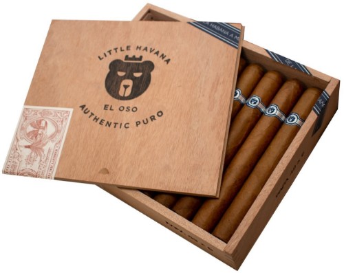 Warped El Oso Blanco Review