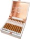 Buy Rocky Patel White Label Churchill Online: