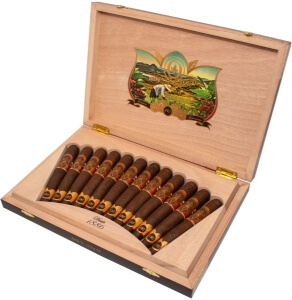 Buy Oliva Serie V 135th Anniversary Online: This very special Perfecto using an Ecuadorian wrapper over a Nicaraguan binder and fillers.