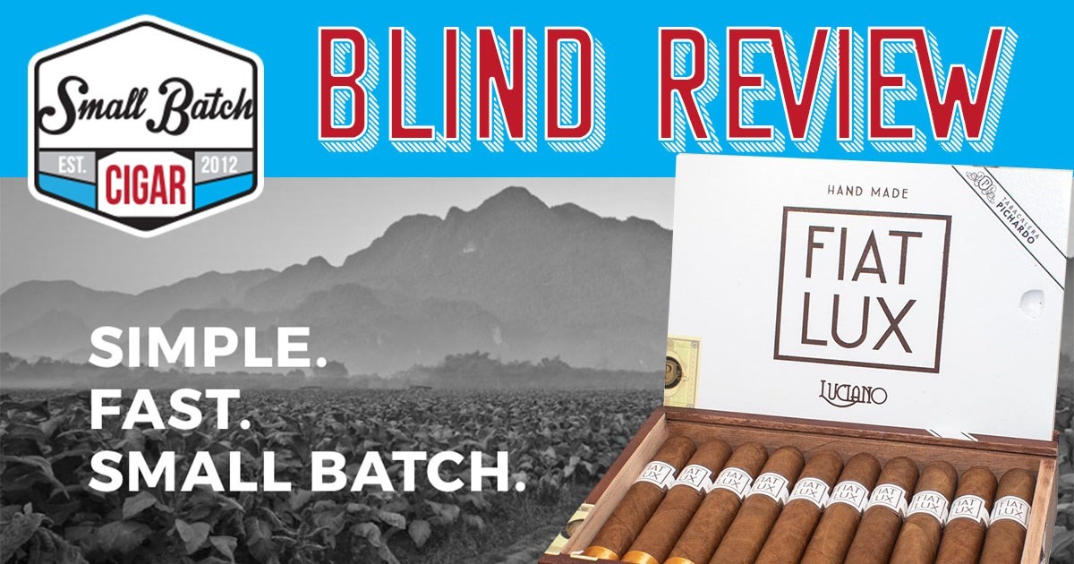El Oso Blanco by Warped Review