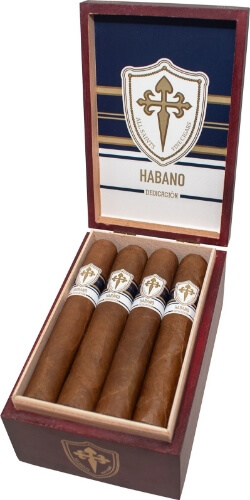 Buy Dedicación Habano Huge by All Saints Online: