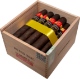 Buy EPC Short Run Maduro 2022 Short Play  Online at Small Batch Cigar