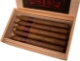 Buy Pistoff Kristoff Churchill Online at Small Batch Cigar