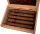 Buy Pistoff Kristoff 660 Online at Small Batch Cigar