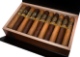 Buy AVO Improvisation LE 2022 Online at Small Batch Cigar