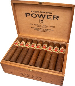 Felipe Gregorio Power Full Power