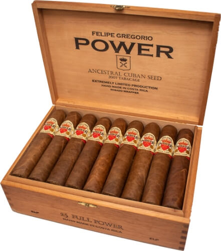 Felipe Gregorio Power Full Power