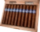 Buy Serino Taino Heritage Hamaca Online at Small Batch Cigar