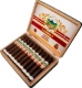 Buy Benavides Mogoton Torpedo Online at Small Batch Cigar