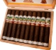 Buy Benavides Mogoton Toro Online at Small Batch Cigar