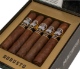 Buy Punch Knuckle Buster Maduro Robusto Online: