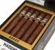 Buy Punch Knuckle Buster Maduro Gordo Online: