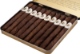 Buy Ashton Classic Esquire Maduro Online: