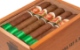 Buy Despot Cigars Robusto Online: 