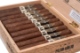 Buy CAO Pilon Anejo Toro Online: 