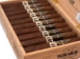 Buy CAO Pilon Anejo Robusto Online: 
