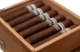 Buy RoMa Craft Intemperance WR 1794 Husband Online: Created in rememberance of the 1794 Whiskey Rebellion, this cigar by RoMa Craft Tobac is wrapped in an Ecuadorian Habano ligero wrapper, with an Indonesian Buskui binder, with Dominican and Nicaraguan fillers.