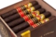 Buy La Gloria Cubana Serie R No. 4 Maduro Online: