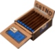 Buy Diesel Grind Torpedo Online at Small Batch Cigar: