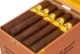 Buy Baccarat "The Game" Maduro Rothschild Online: This Honduran puro features a Maduro wrapper, smooth and creamy, perfect for all times of day.