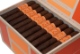 Buy Catch 22 Rothchild by Rocky Patel Online: 