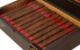 Buy Java Red Toro Online: