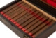 Buy Java Red Robusto Online: