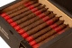 Buy Java Red Petite Corona Online:
