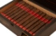 Buy Java Red Corona Online: