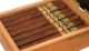 Buy Ferio Tego Timeless Supreme 749 Online: