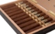 Buy Ferio Tego Timeless Panamericana Gordo Online: