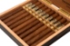 Buy Ferio Tego Timeless Panamericana Julieta Online:
